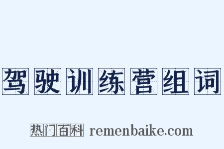驾驶训练营组词是什么意思的图片